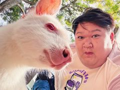 -费瑟代尔野生动物园