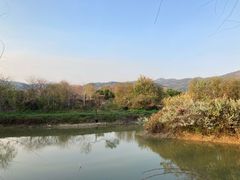 -天适樱花悠乐园