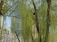 -西北湖绿化广场