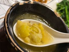 -老号尤兔头(幸福店)