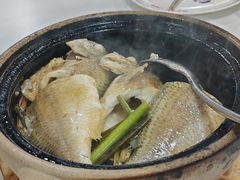 香茅生啫黄脚立-明本湛江鸡•海鲜小厨(陈家祠店)