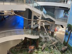 -辽宁古生物博物馆