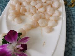 清炒虾仁（大份）-新恬乐大酒家(沧达大厦店)