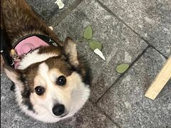 -海底捞火锅(群光广场店)