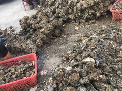 -蚝专家(北滘店)