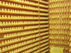 -深圳失恋博物馆再见前任(汇商名苑店)