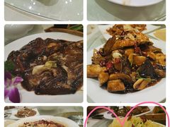 -陶然饺子城(奥体中路店)