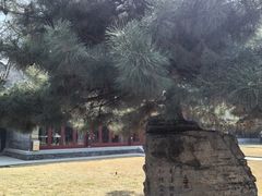 -护国法轮寺
