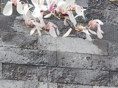 -东华门大街小区