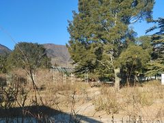 -国家植物园南园