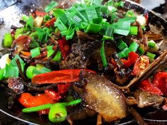 腊肉烧茶树菇-张关合渣(航空大道店)