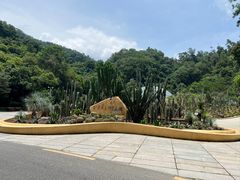 -深圳仙湖植物园
