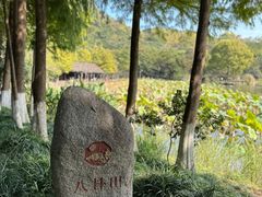 -八卦田遗址公园