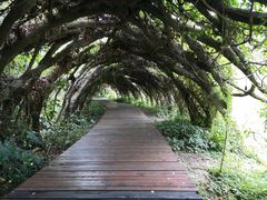 -广西壮族自治区药用植物园