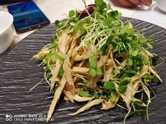 -凯鸽酒楼(操场城店)