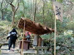 -严子陵钓台(富春江小三峡)