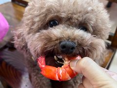 -南沙十九涌渔人码头-南门