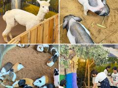 -正佳雨林生态植物园