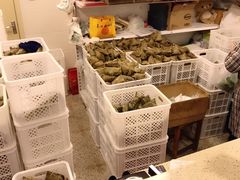 -璐坊粽王(复兴中路店)