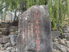 -玉湖村