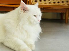 -美联众合24小时·皮肤科·外科·全科诊疗中心(华苑分院)