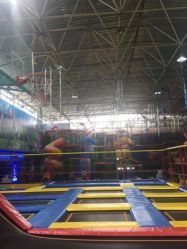 -爱丽丝奇幻乐园