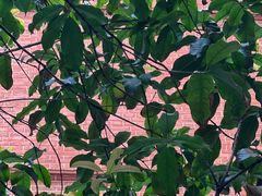 -Ocean's Table 欧舍