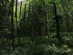 -石燕湖生态旅游景区