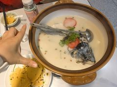 -全乐鱼馆·淳牌有机鱼直营店