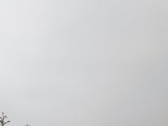 -中国天府农业博览园