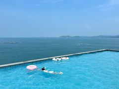 -广东惠东海龟国家级自然保护区