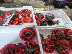 -桃酥大王(北关西路店)