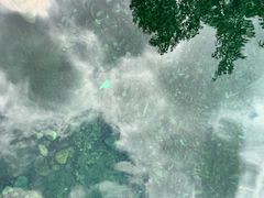 -石台牯牛降景区