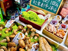 -菌自由丨野生菌火锅特色庭院餐厅(丽江古城店)