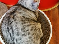 -H立方实景剧情密室(天河旗舰店)