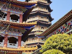 -东天目山风景区