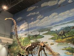 -自贡恐龙博物馆