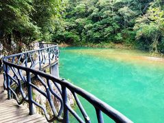 -龙湾潭国家森林公园