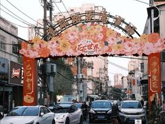 -溪岸路花鸟市场
