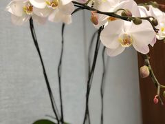 -Tiffany & Co.蒂芙尼
(杭州大厦店)