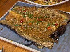 -小俩口烧烤东北菜(双井店)