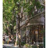 佛山探店｜先行图书.书香与啡香.这里都有