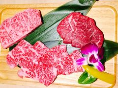 -神户牛焼肉専門店 牛一(道顿堀店)
