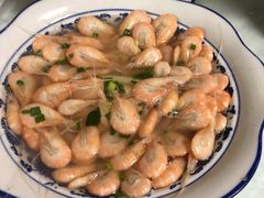 白米虾-洞天食府(北大街店)