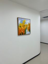 -丰联丽格医疗美容·联合丽格眼整形中心