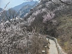 -北京凤凰岭