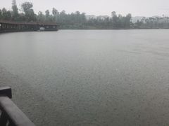 -枫香湖儿童公园