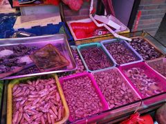 -芦潮港集贸市场