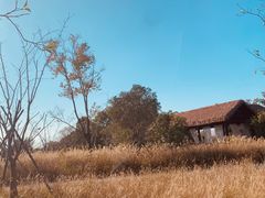 -良渚古城遗址公园