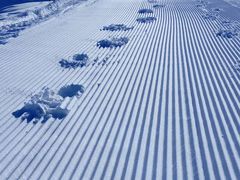 -丝绸之路山地度假区滑雪场